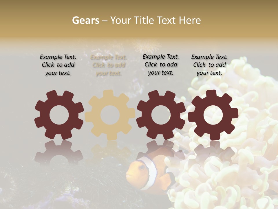 The Fish Is Hiding In Corals PowerPoint Template