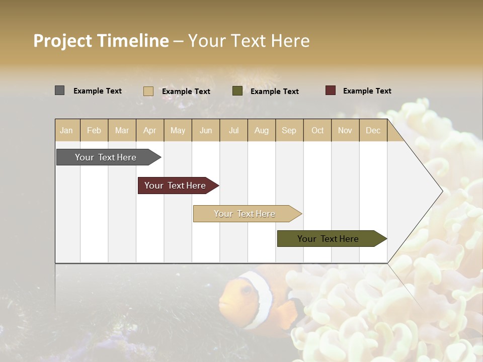 The Fish Is Hiding In Corals PowerPoint Template
