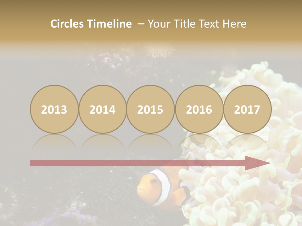 The Fish Is Hiding In Corals PowerPoint Template