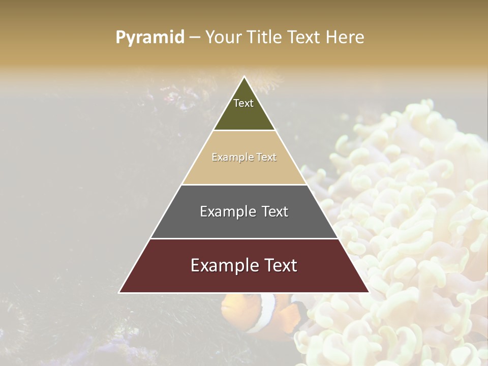 The Fish Is Hiding In Corals PowerPoint Template