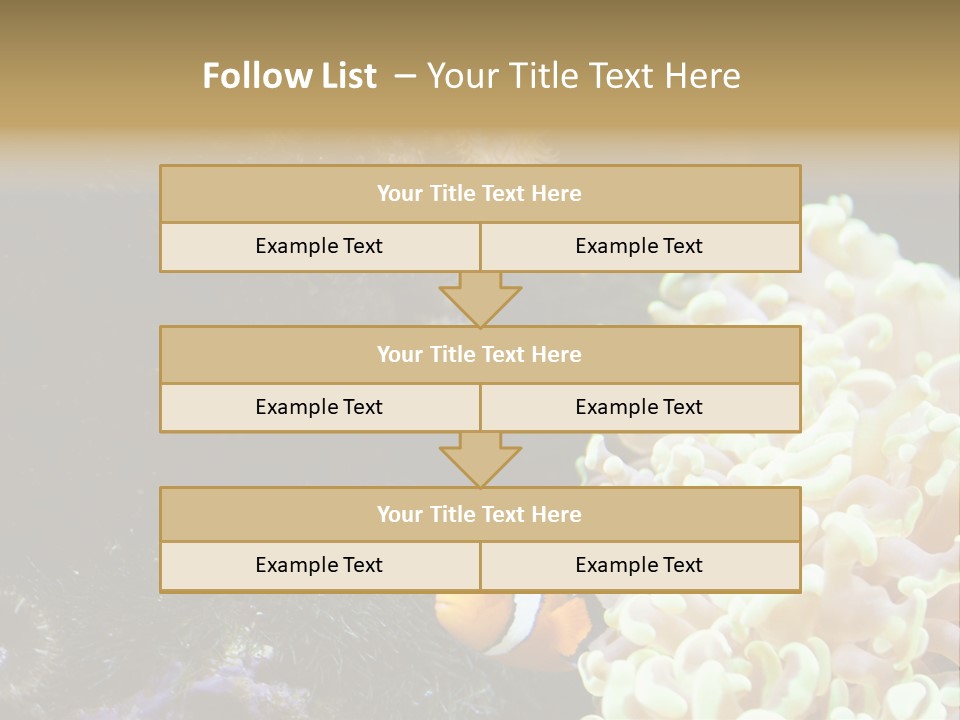 The Fish Is Hiding In Corals PowerPoint Template