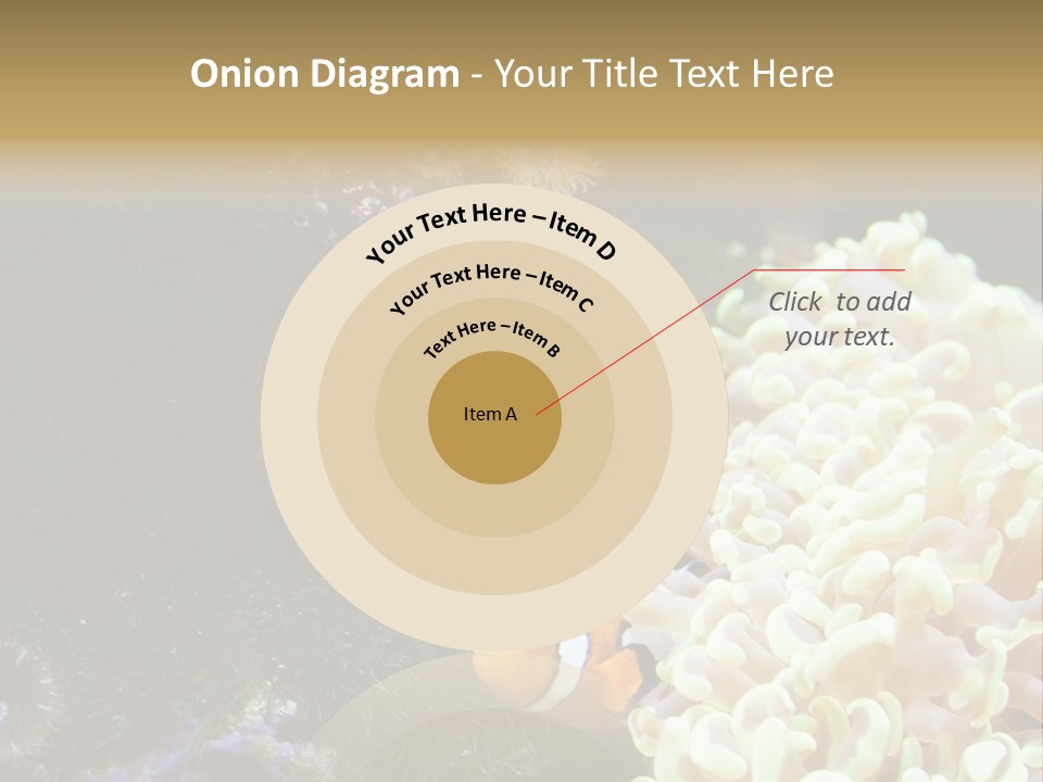 The Fish Is Hiding In Corals PowerPoint Template