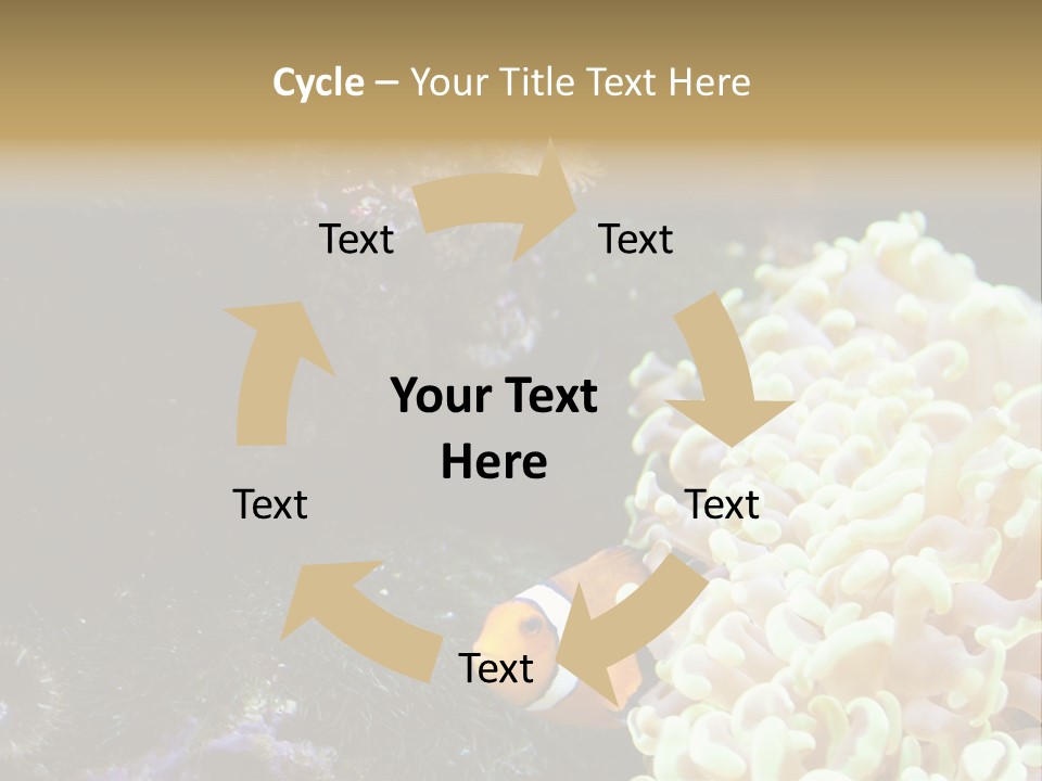 The Fish Is Hiding In Corals PowerPoint Template