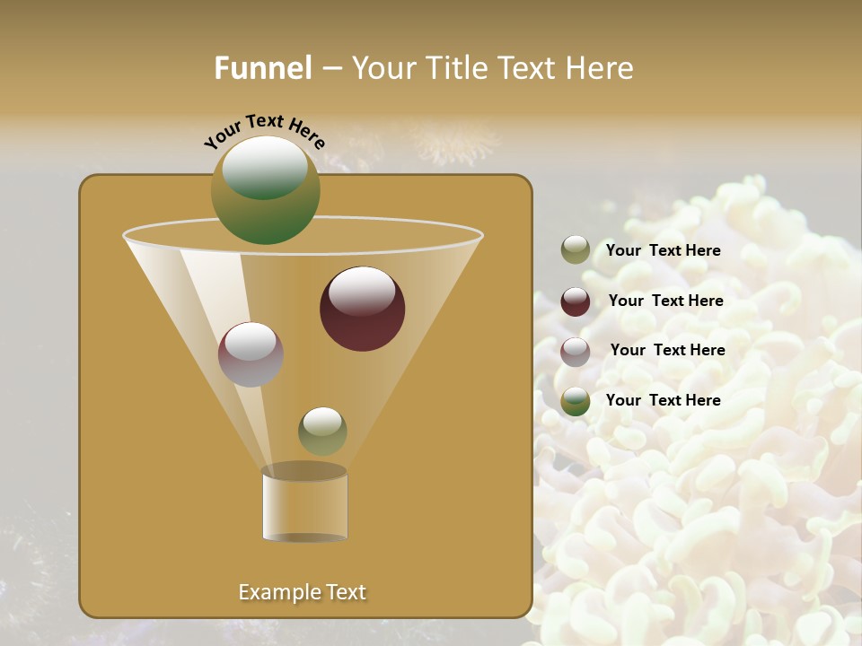 The Fish Is Hiding In Corals PowerPoint Template