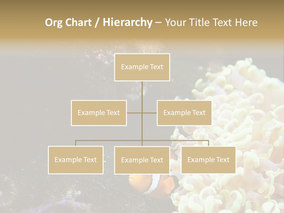 The Fish Is Hiding In Corals PowerPoint Template