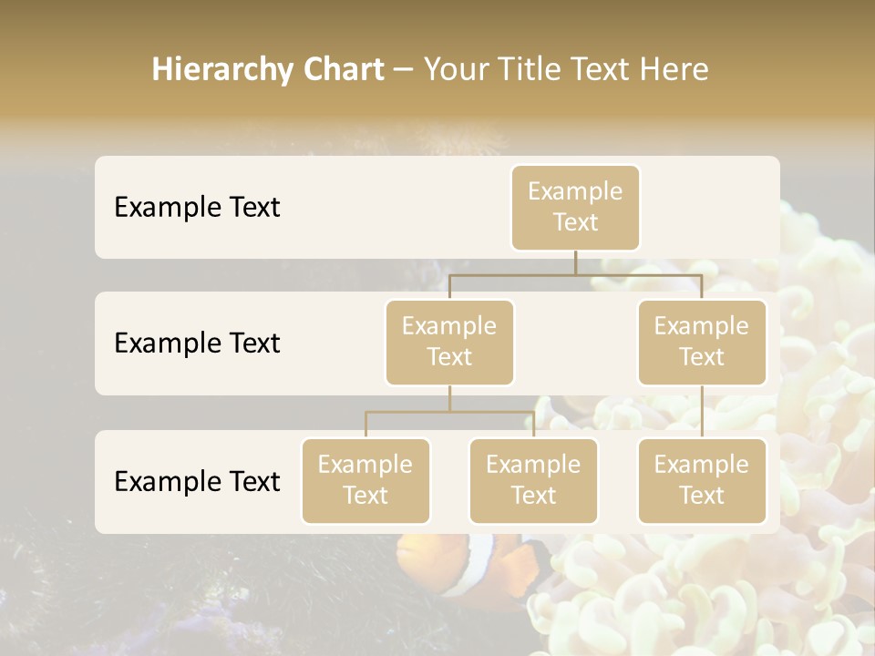 The Fish Is Hiding In Corals PowerPoint Template