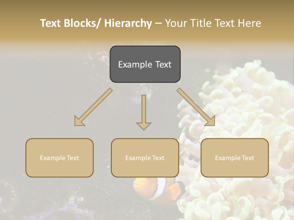 The Fish Is Hiding In Corals PowerPoint Template