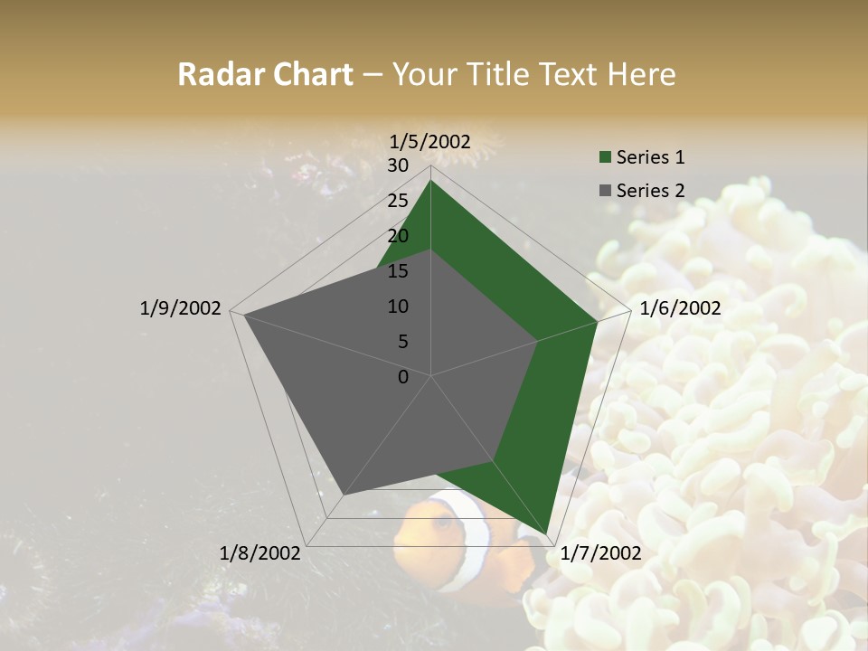The Fish Is Hiding In Corals PowerPoint Template