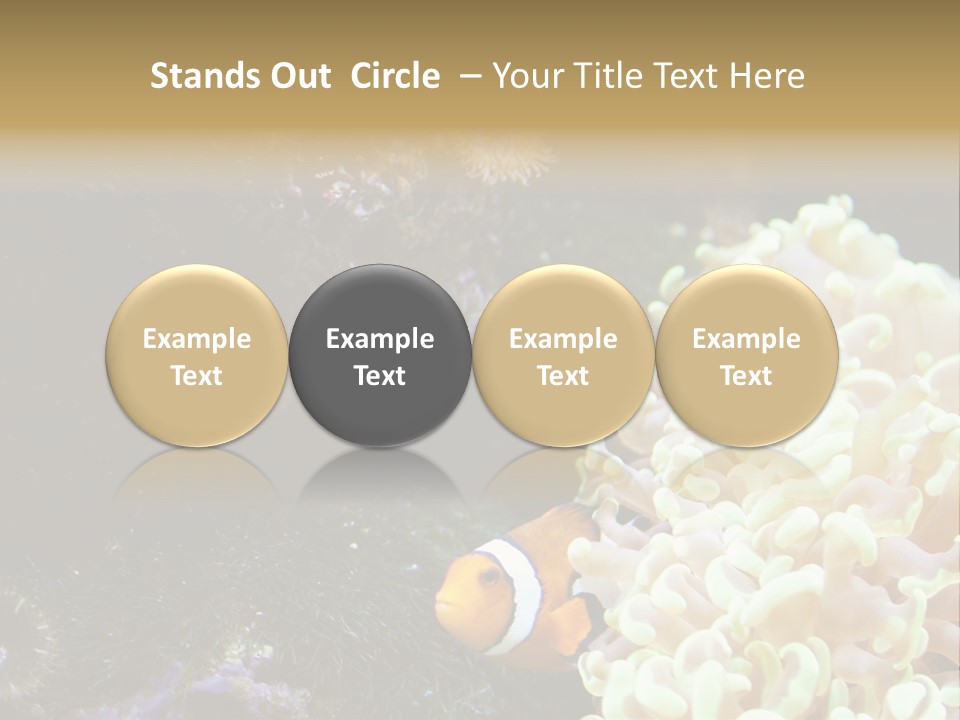 The Fish Is Hiding In Corals PowerPoint Template