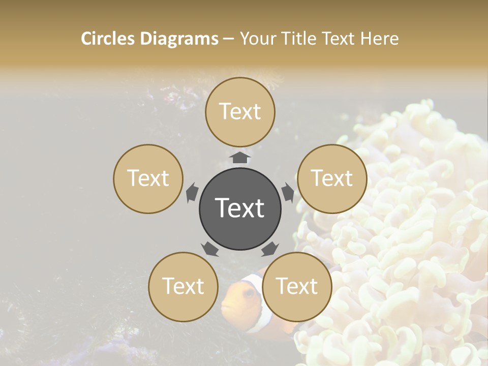 The Fish Is Hiding In Corals PowerPoint Template