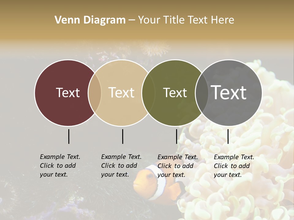 The Fish Is Hiding In Corals PowerPoint Template