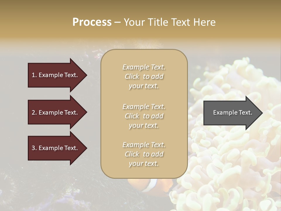 The Fish Is Hiding In Corals PowerPoint Template