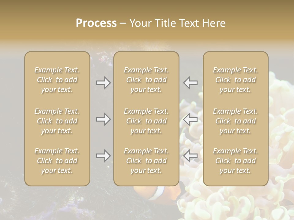 The Fish Is Hiding In Corals PowerPoint Template
