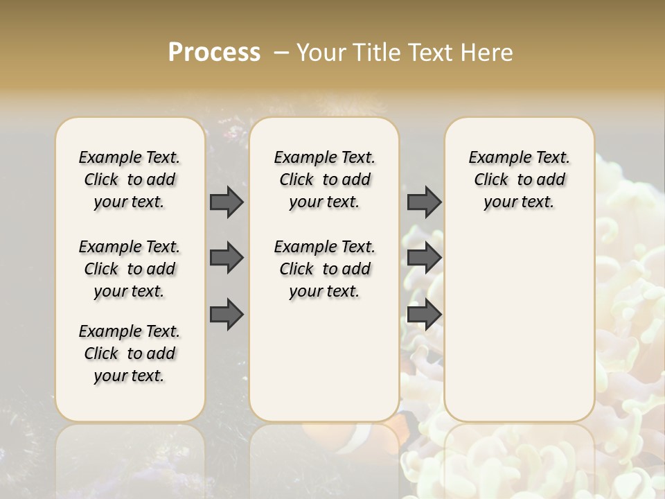 The Fish Is Hiding In Corals PowerPoint Template
