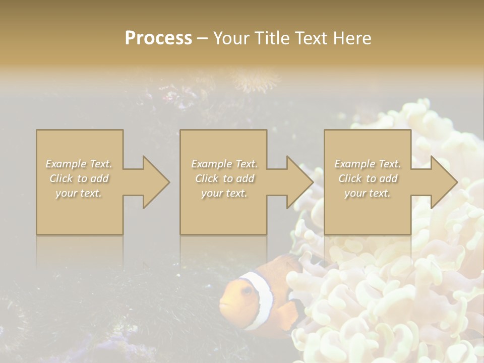 The Fish Is Hiding In Corals PowerPoint Template