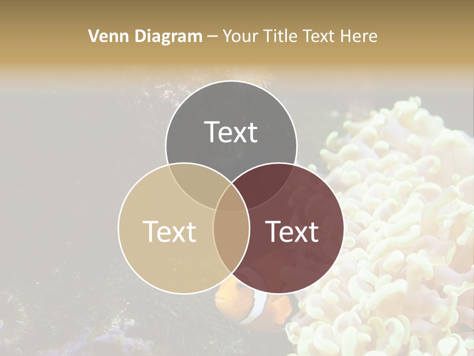 The Fish Is Hiding In Corals PowerPoint Template