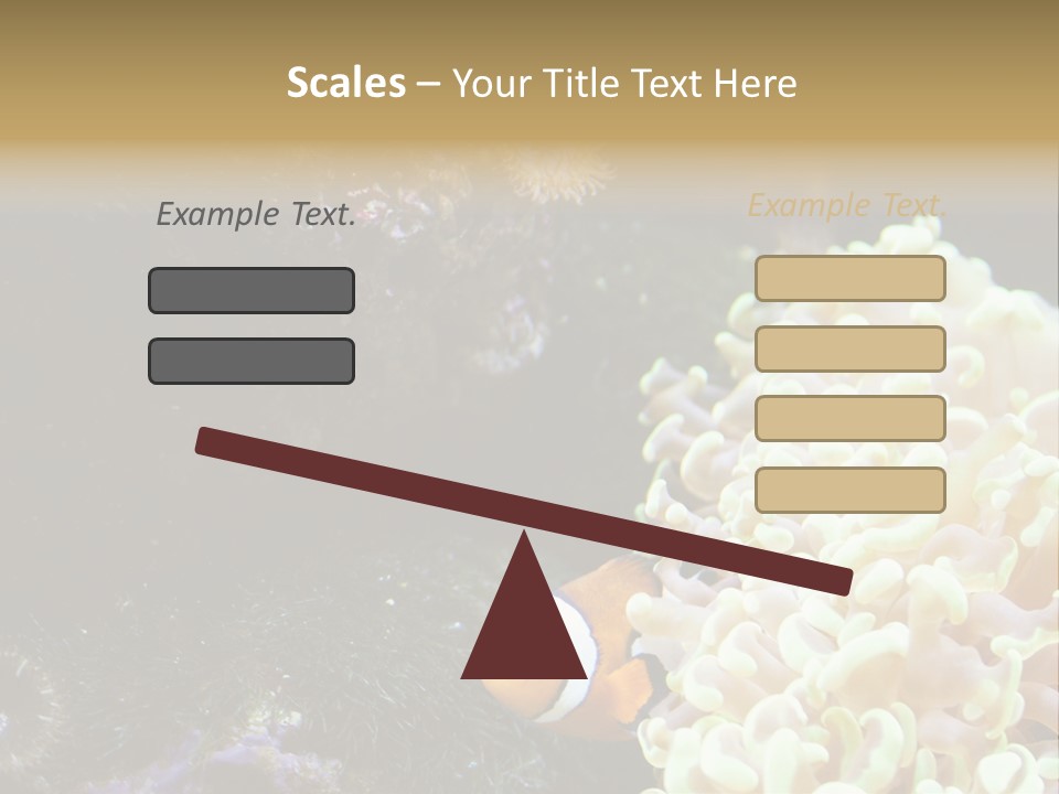 The Fish Is Hiding In Corals PowerPoint Template
