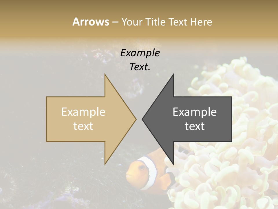 The Fish Is Hiding In Corals PowerPoint Template