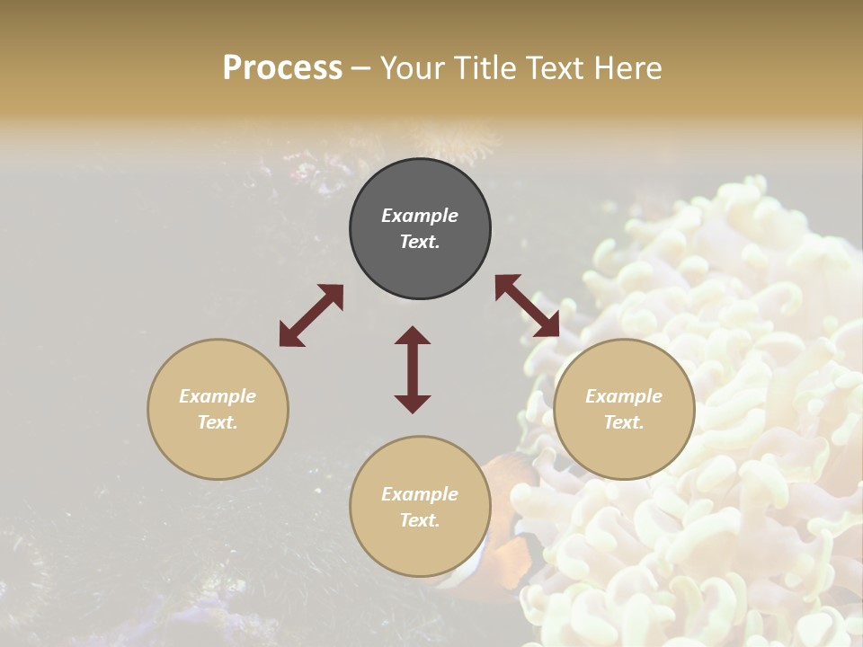 The Fish Is Hiding In Corals PowerPoint Template