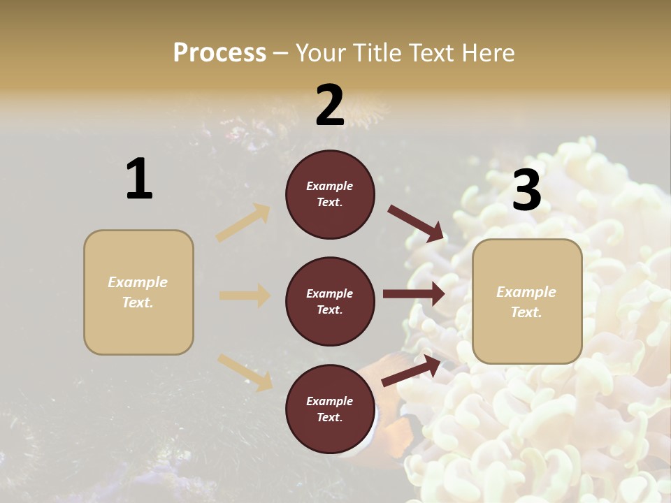 The Fish Is Hiding In Corals PowerPoint Template