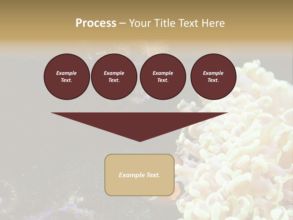 The Fish Is Hiding In Corals PowerPoint Template