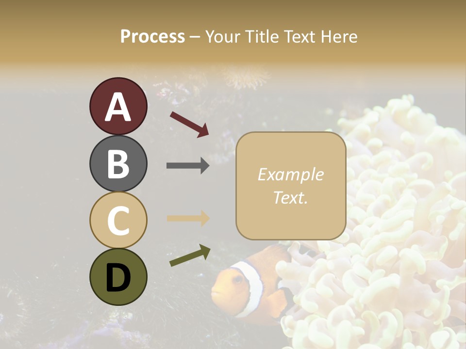 The Fish Is Hiding In Corals PowerPoint Template