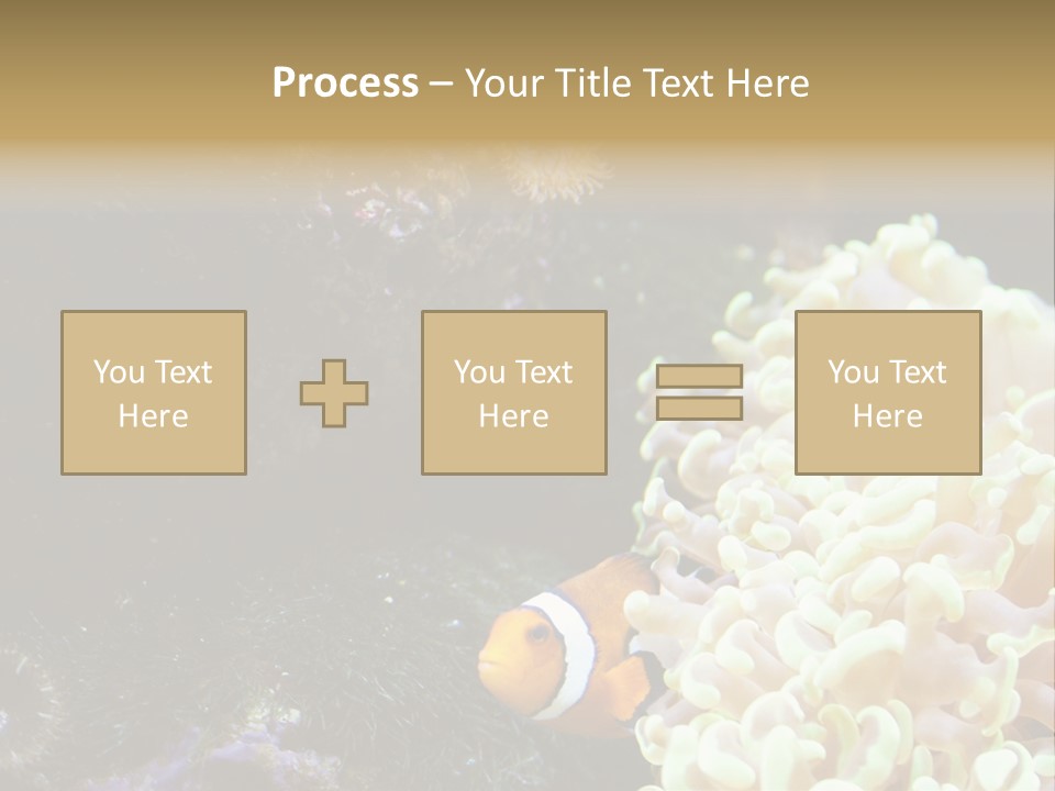 The Fish Is Hiding In Corals PowerPoint Template