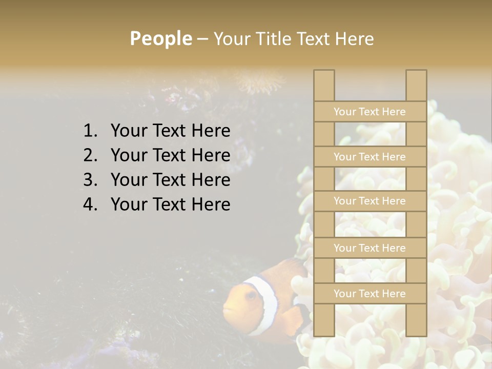 The Fish Is Hiding In Corals PowerPoint Template