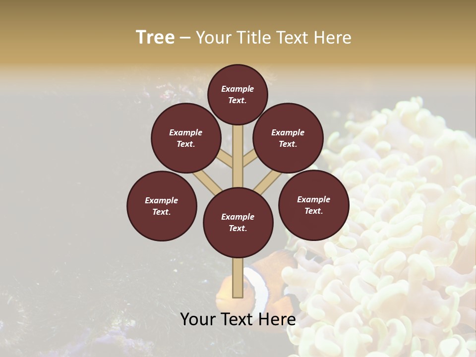 The Fish Is Hiding In Corals PowerPoint Template