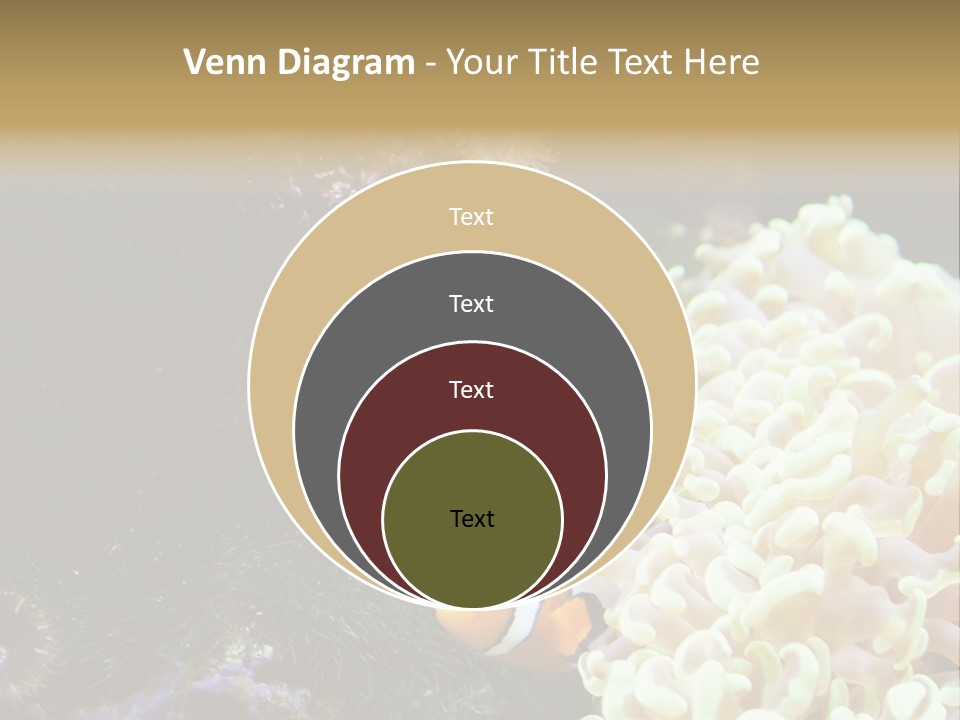 The Fish Is Hiding In Corals PowerPoint Template
