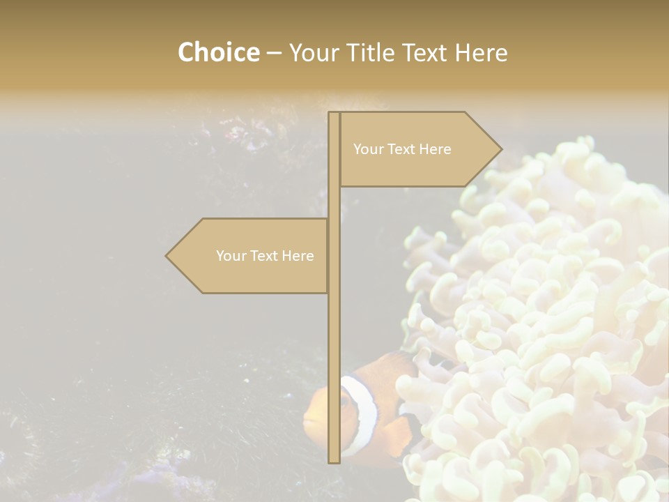 The Fish Is Hiding In Corals PowerPoint Template