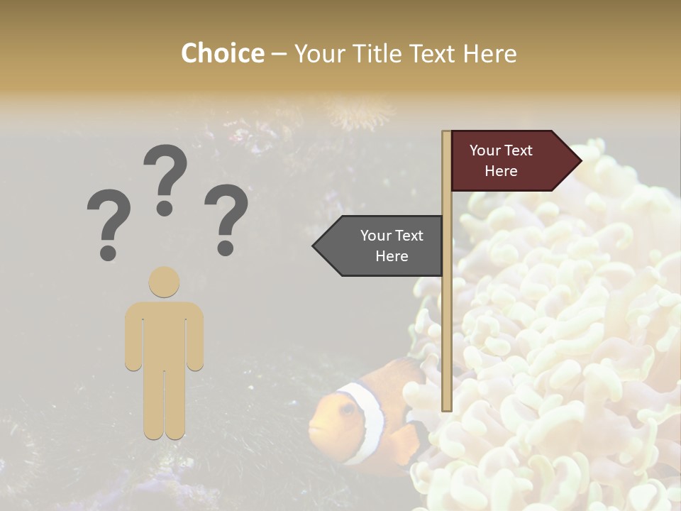 The Fish Is Hiding In Corals PowerPoint Template