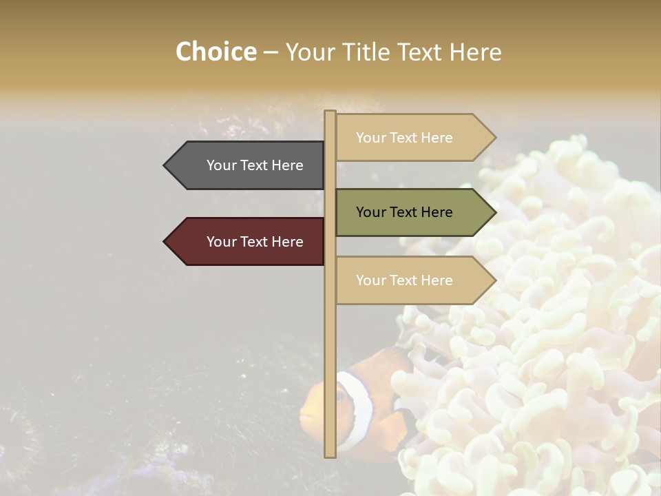 The Fish Is Hiding In Corals PowerPoint Template