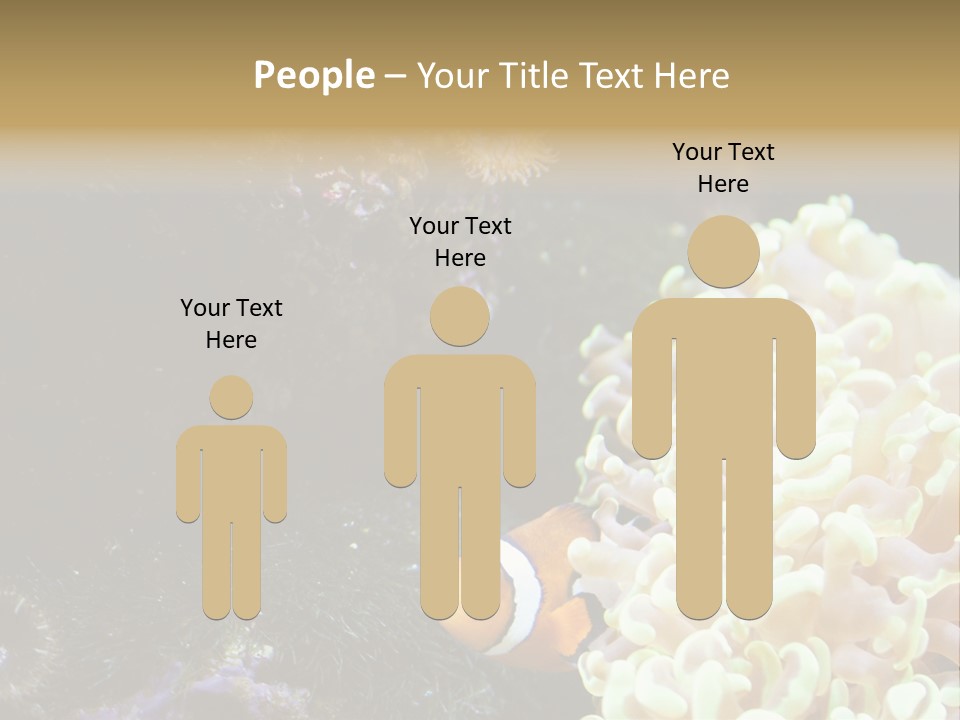 The Fish Is Hiding In Corals PowerPoint Template