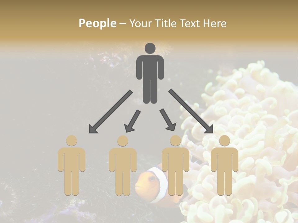 The Fish Is Hiding In Corals PowerPoint Template