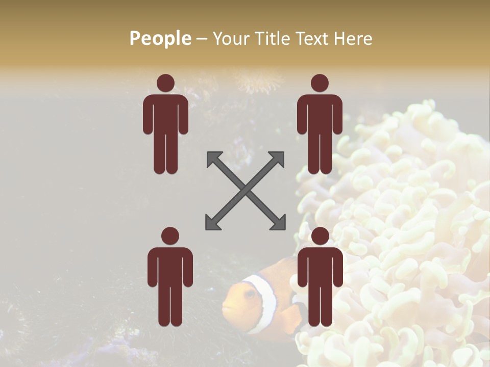 The Fish Is Hiding In Corals PowerPoint Template