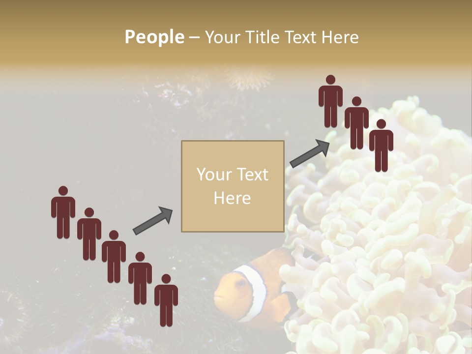 The Fish Is Hiding In Corals PowerPoint Template