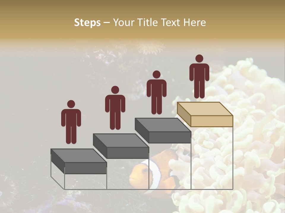 The Fish Is Hiding In Corals PowerPoint Template