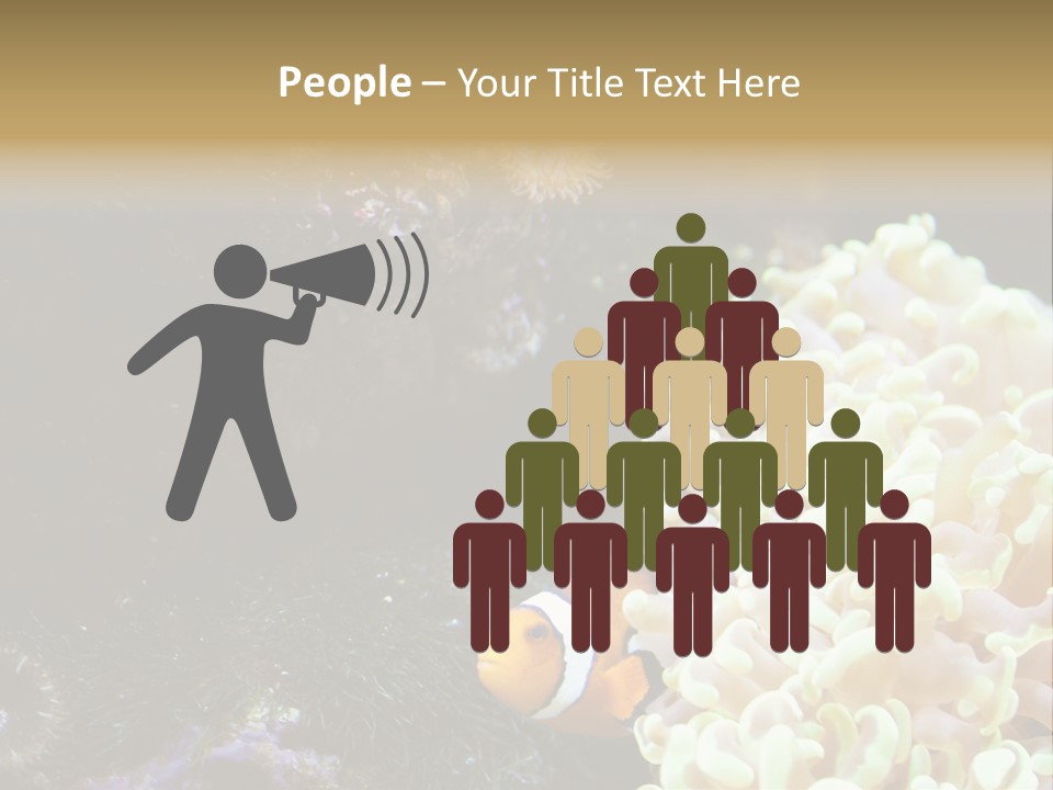 The Fish Is Hiding In Corals PowerPoint Template