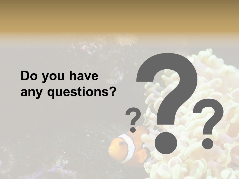 The Fish Is Hiding In Corals PowerPoint Template