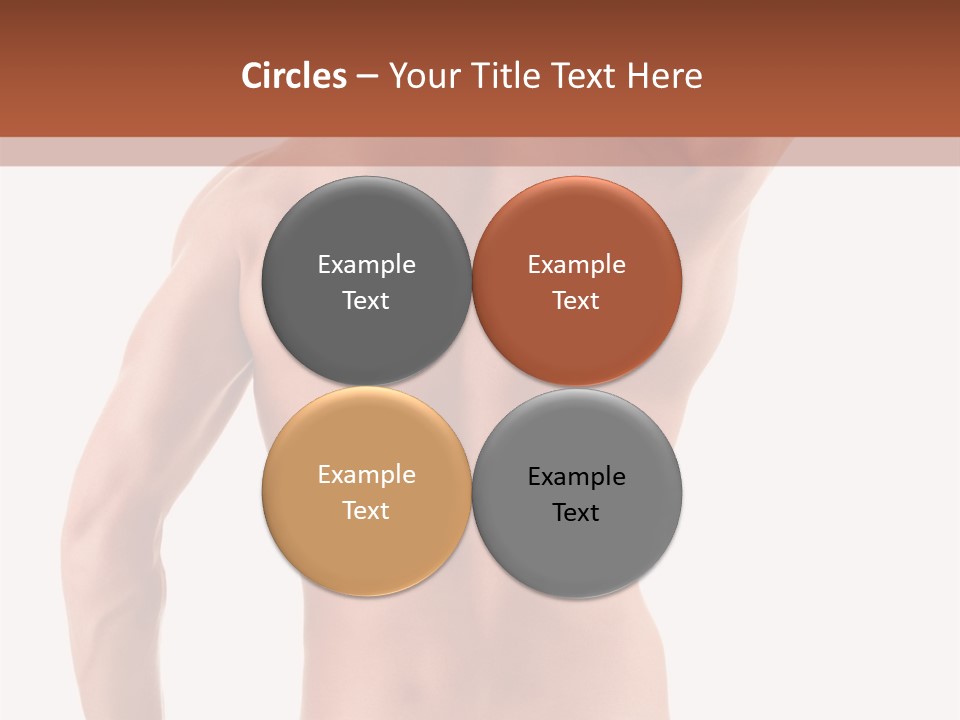 Male Back PowerPoint Template