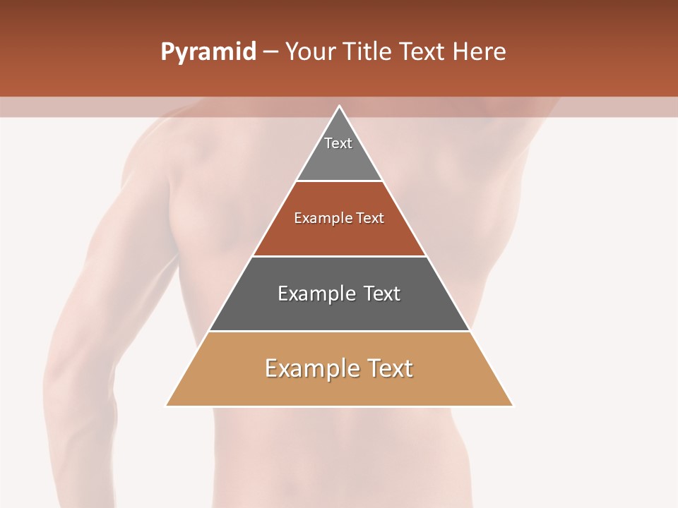 Male Back PowerPoint Template