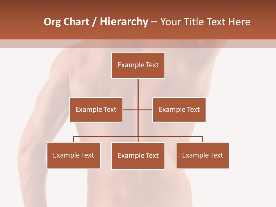 Male Back PowerPoint Template