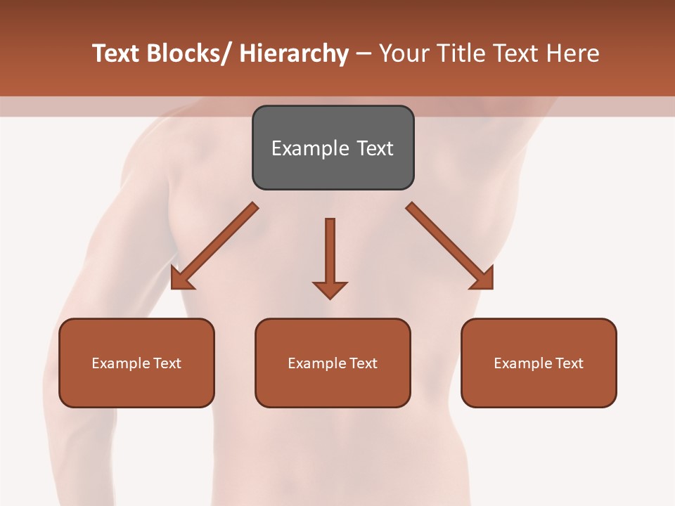 Male Back PowerPoint Template