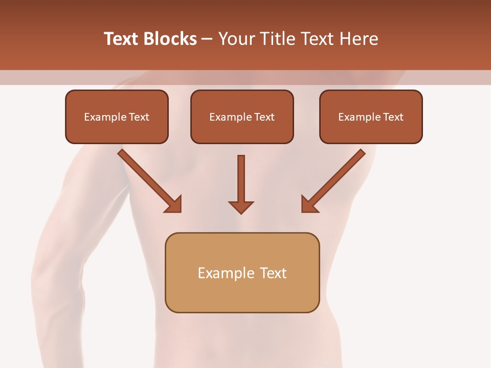 Male Back PowerPoint Template