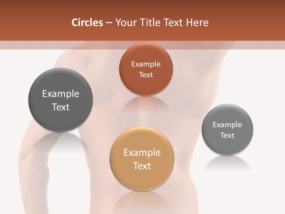 Male Back PowerPoint Template