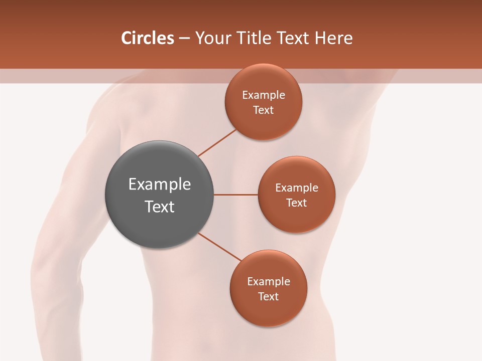 Male Back PowerPoint Template