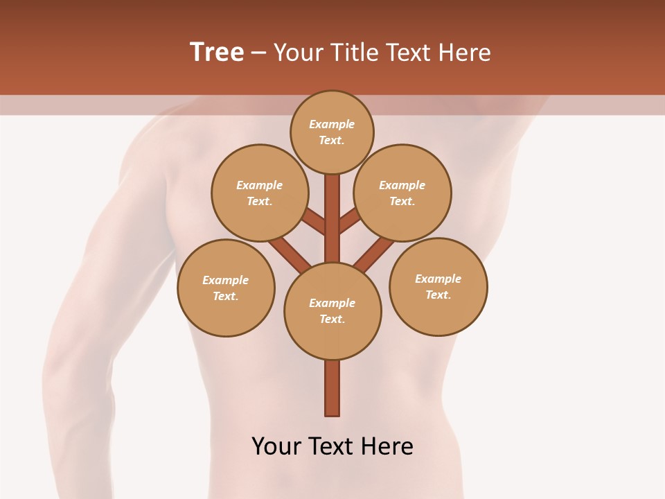 Male Back PowerPoint Template