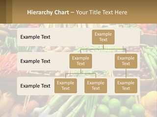 Vegetables. Healthy Eating PowerPoint Template