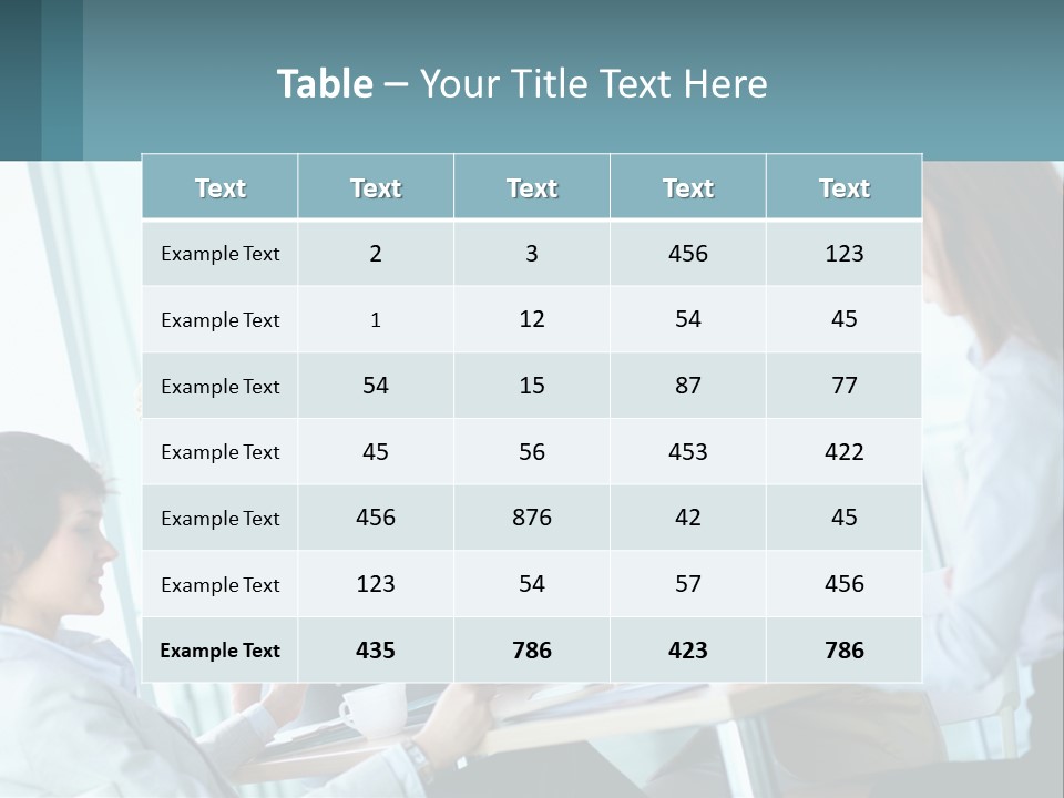 Women At The Meeting PowerPoint Template